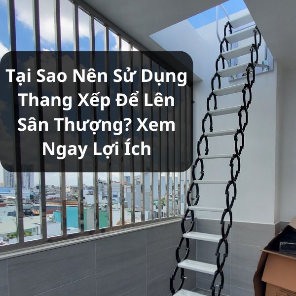 Làm sao để thắng cược đua ngựa dễ dàng