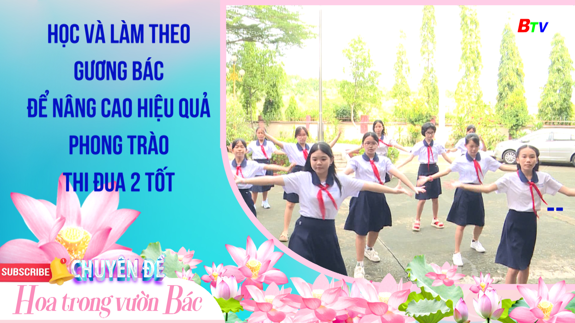 Cá cược đua chó Vũng Tàu có hợp pháp không